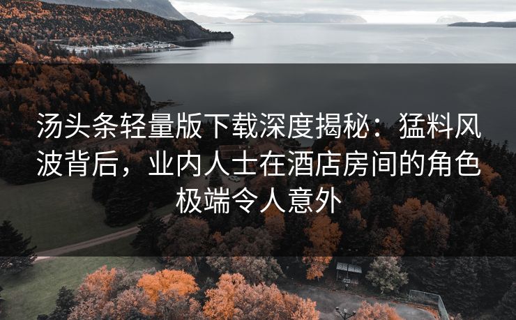 汤头条轻量版下载深度揭秘：猛料风波背后，业内人士在酒店房间的角色极端令人意外